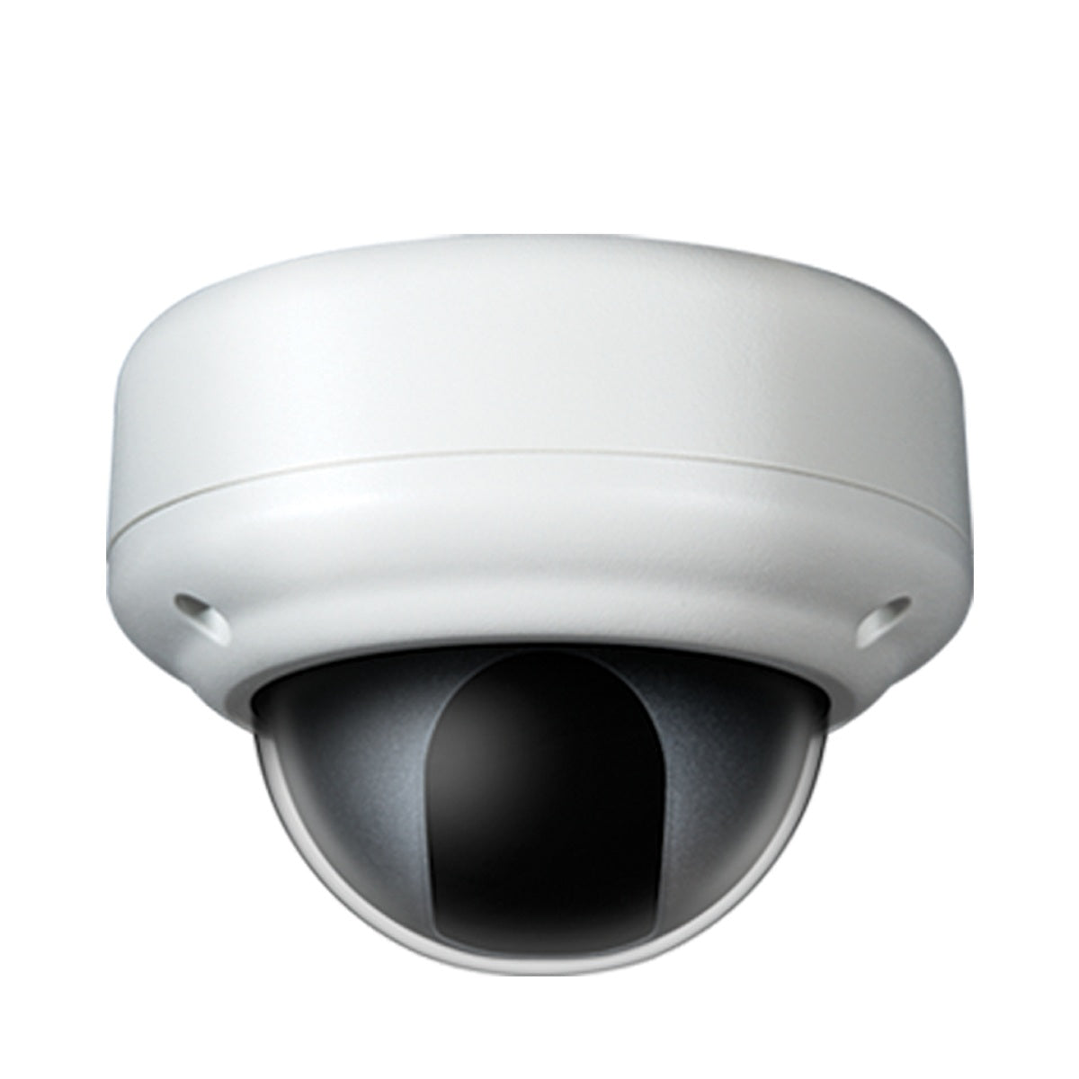 Clinton Electronics CE-955-CAM Indoor Day Night Dome