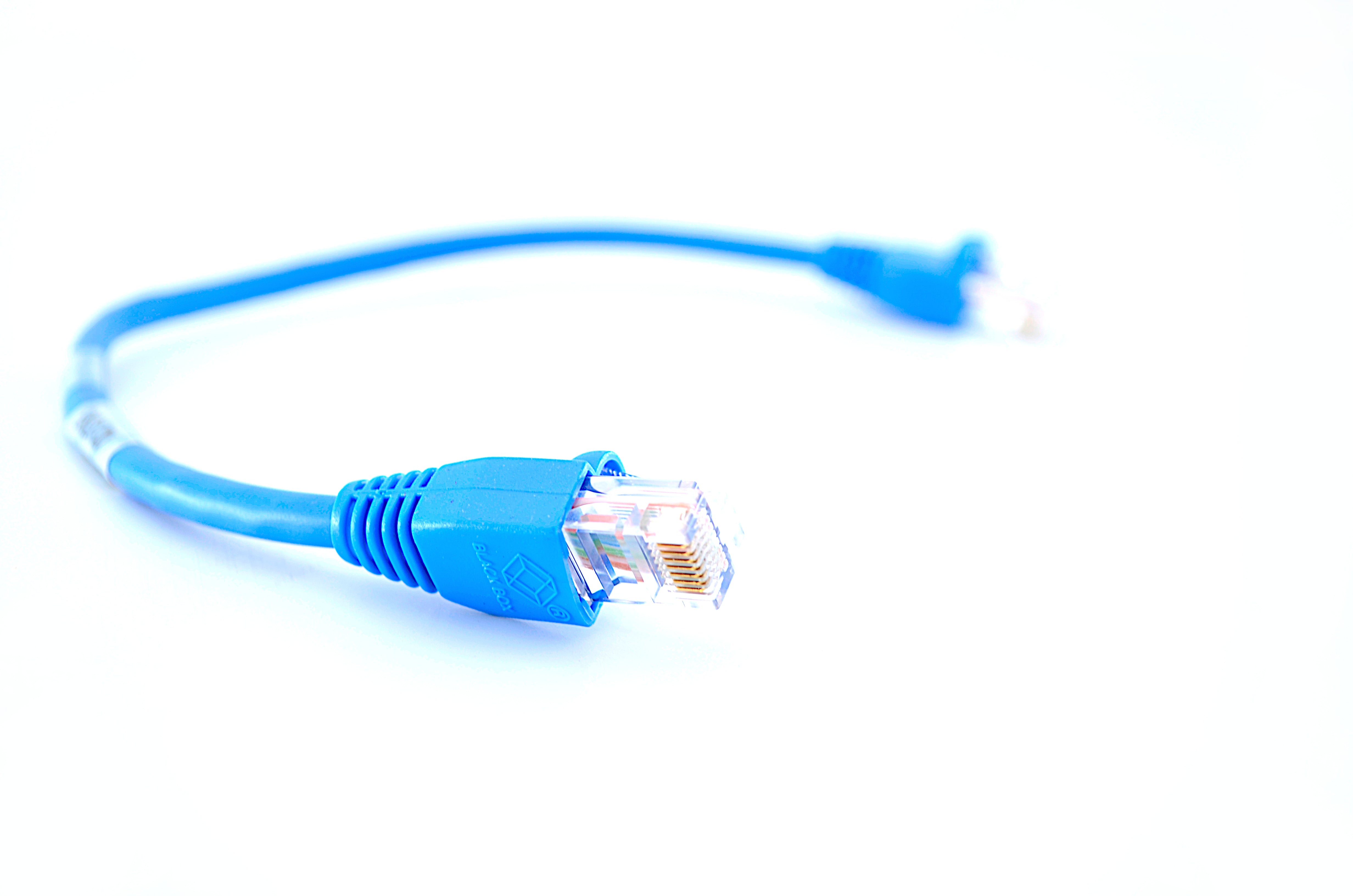 Blackbox EVNSL81-0001 CAT5e Ethernet Patch Cable