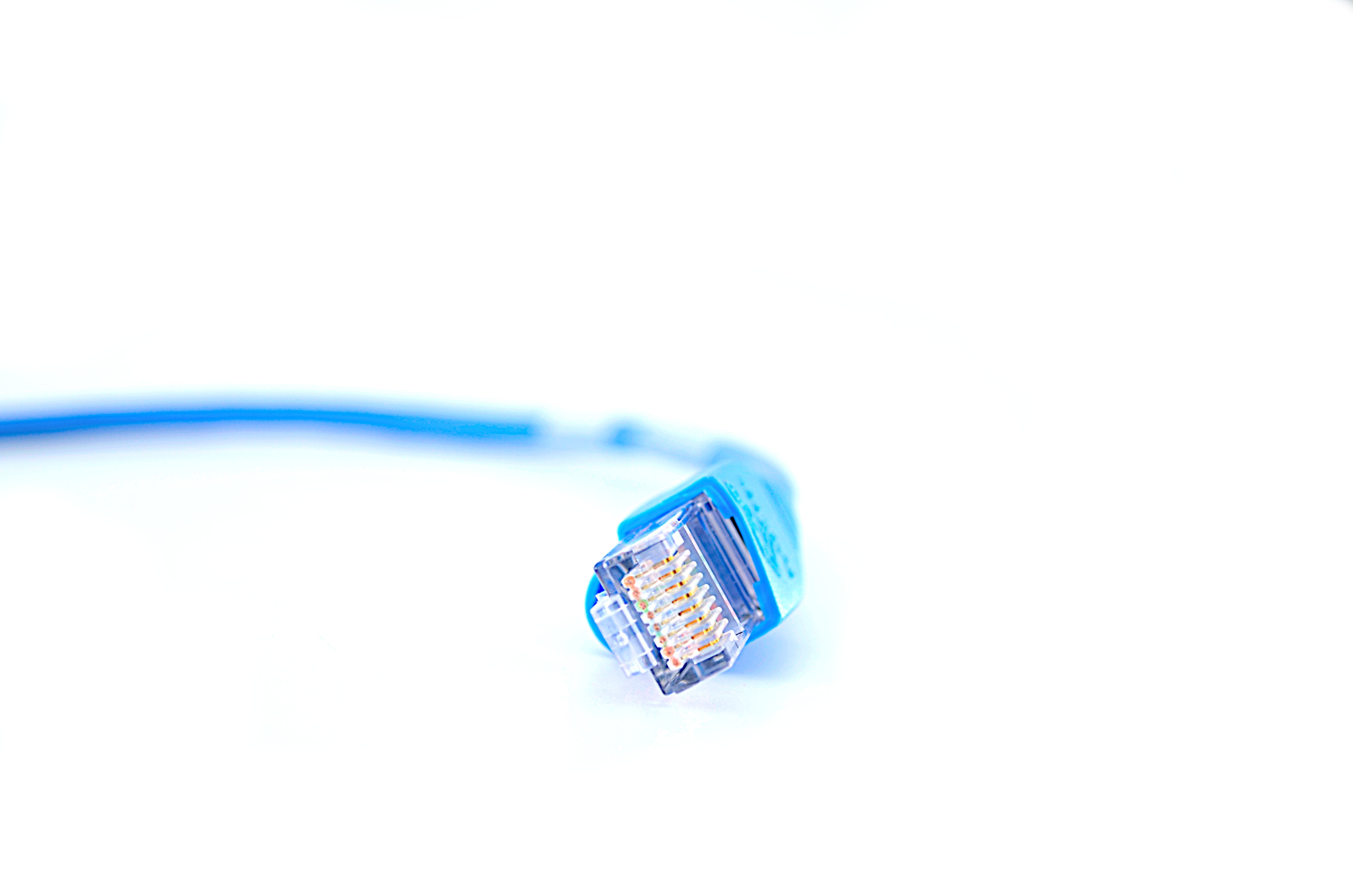 Blackbox EVNSL81-0001 CAT5e Ethernet Patch Cable